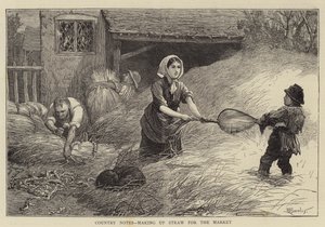 Maasetelit, jotka muodostavat olkia markkinoille